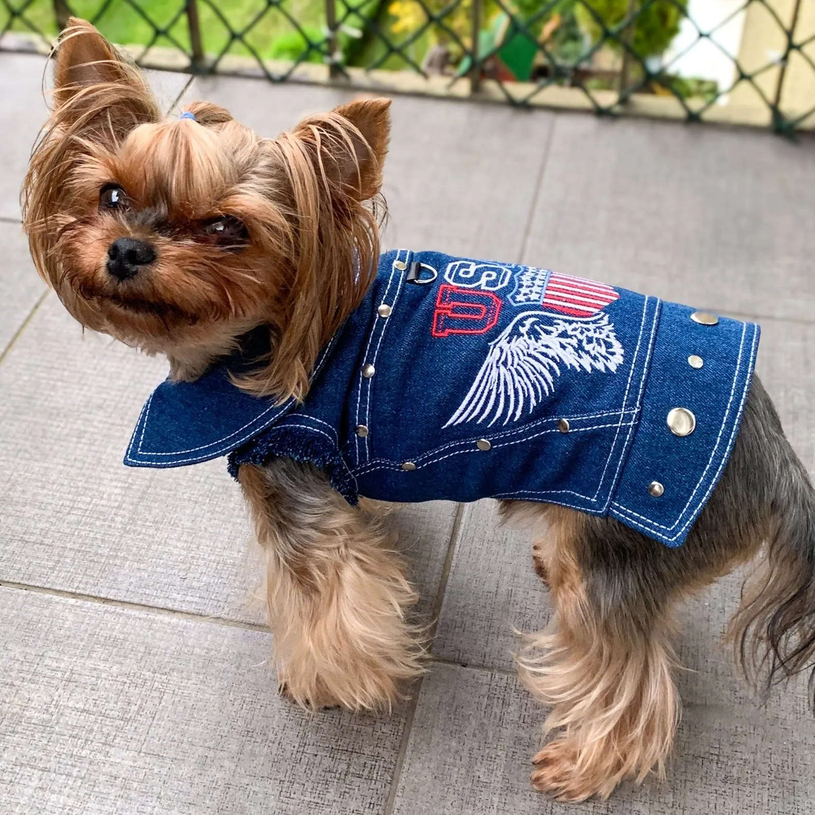 American dog denim vest